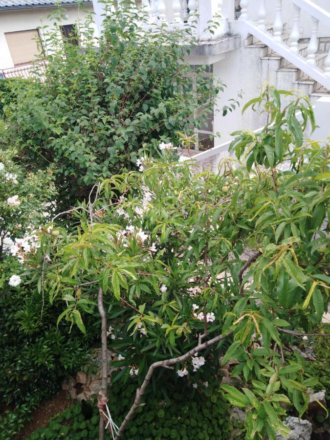Apartman Marijana โนวีวีโนดอลสกี ภายนอก รูปภาพ